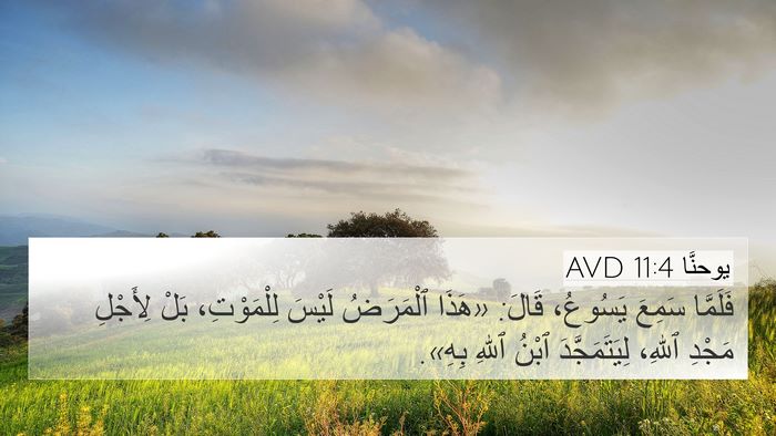 يوحنَّا 11:4 AVD Bible Verse Image