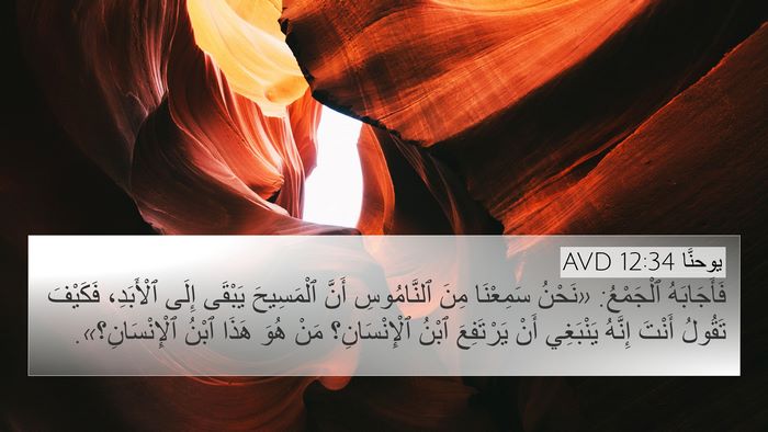 يوحنَّا 12:34 AVD Bible Verse Image
