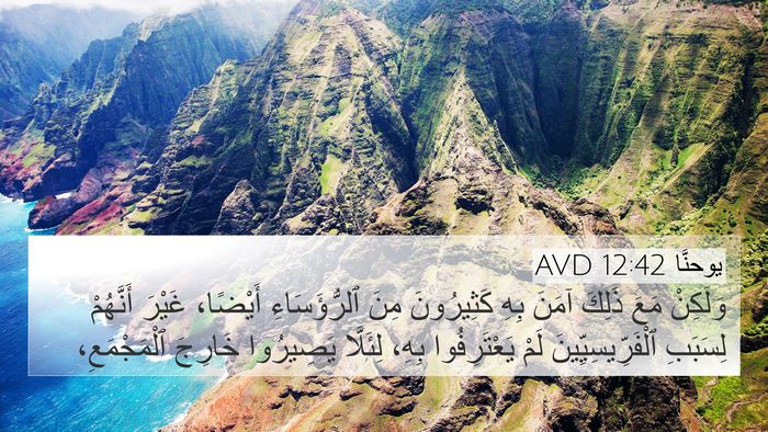 يوحنَّا 12:42 AVD Bible Verse Image