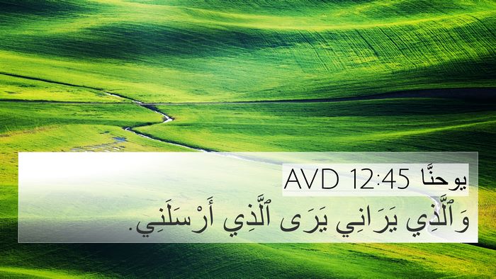 يوحنَّا 12:45 AVD Bible Verse Image