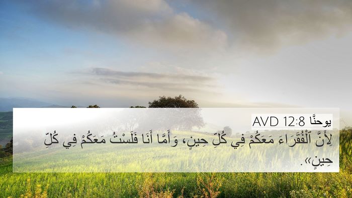 يوحنَّا 12:8 AVD Bible Verse Image