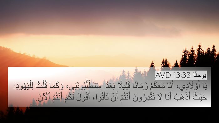 يوحنَّا 13:33 AVD Bible Verse Image