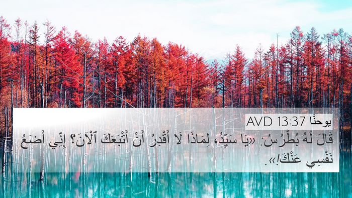 يوحنَّا 13:37 AVD Bible Verse Image