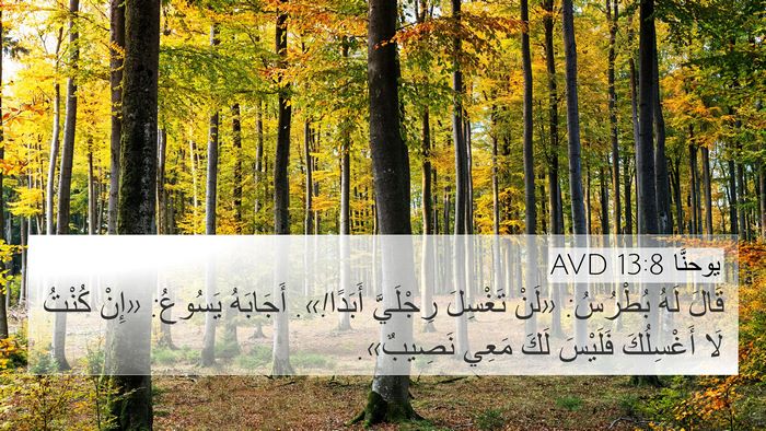 يوحنَّا 13:8 AVD Bible Verse Image