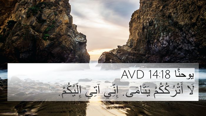 يوحنَّا 14:18 AVD Bible Verse Image