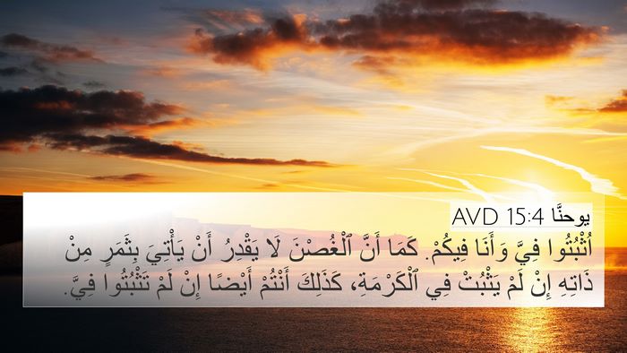يوحنَّا 15:4 AVD Bible Verse Image