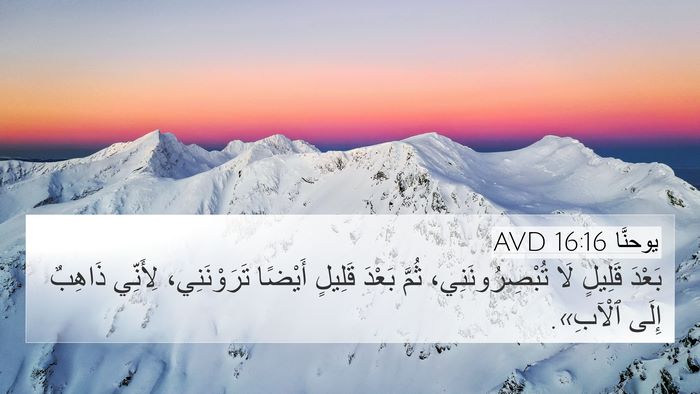 يوحنَّا 16:16 AVD Bible Verse Image