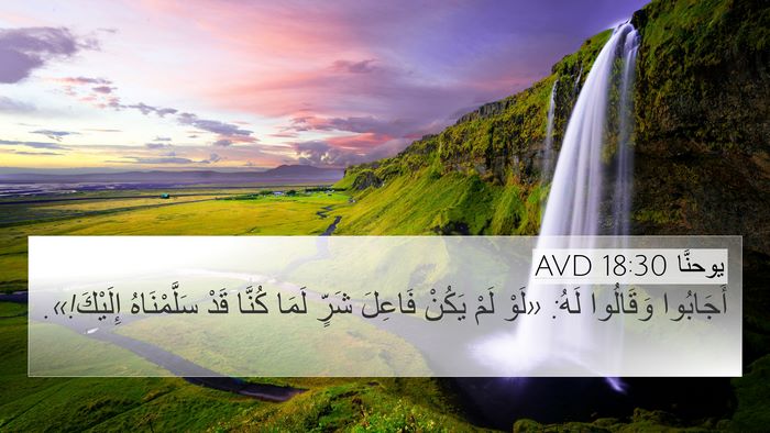 يوحنَّا 18:30 AVD Bible Verse Image