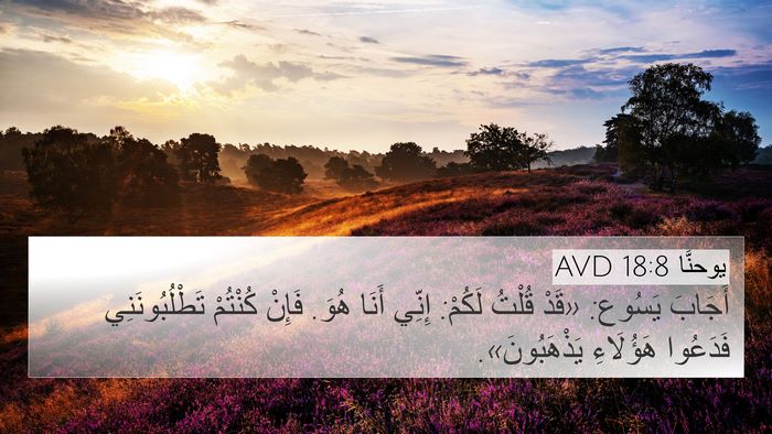 يوحنَّا 18:8 AVD Bible Verse Image