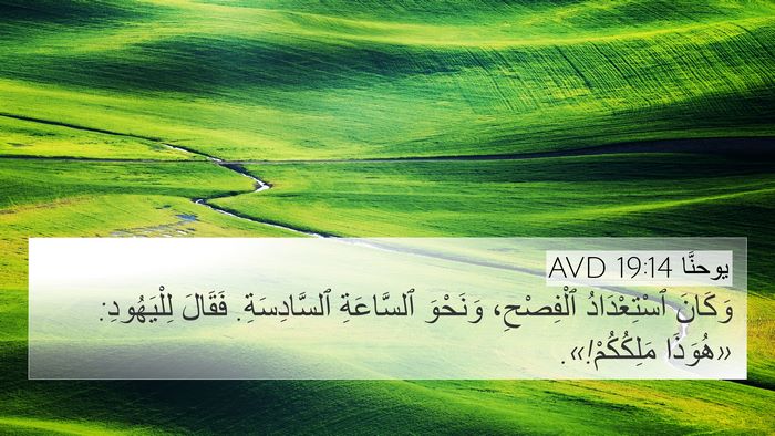 يوحنَّا 19:14 AVD Bible Verse Image