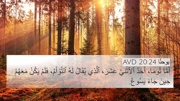 يوحنَّا 20:24 AVD Bible Verse Image