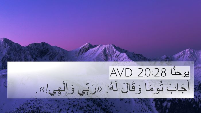 يوحنَّا 20:28 AVD Bible Verse Image