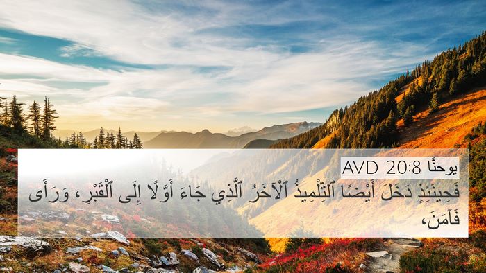 يوحنَّا 20:8 AVD Bible Verse Image