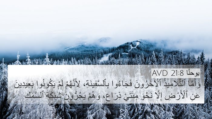 يوحنَّا 21:8 AVD Bible Verse Image