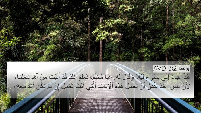 يوحنَّا 3:2 AVD Bible Verse Image