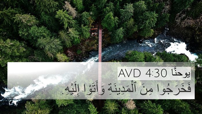 يوحنَّا 4:30 AVD Bible Verse Image