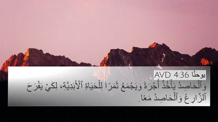 يوحنَّا 4:36 AVD Bible Verse Image