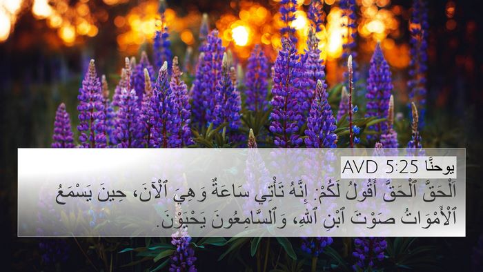 يوحنَّا 5:25 AVD Bible Verse Image