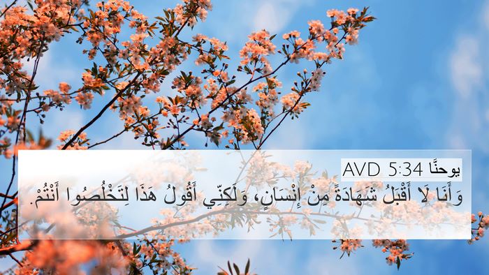 يوحنَّا 5:34 AVD 4K Wallpaper - وَأَنَا لَا أَقْبَلُ - 4K Wallpaper Bible Verse