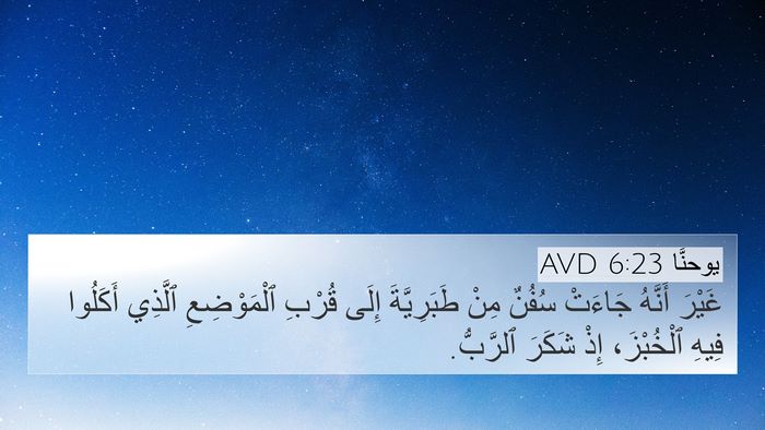 يوحنَّا 6:23 AVD Bible Verse Image