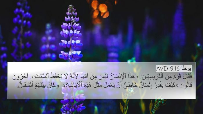 يوحنَّا 9:16 AVD 4K Wallpaper - فَقَالَ قَوْمٌ مِنَ - 4K Wallpaper Bible Verse