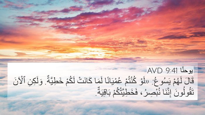 يوحنَّا 9:41 AVD Bible Verse Image