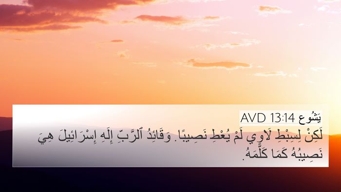 يَشُوع 13:14 AVD Bible Verse Image