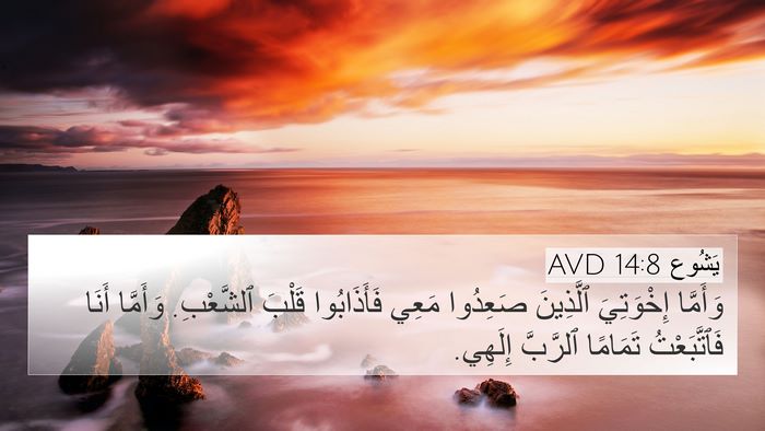يَشُوع 14:8 AVD Bible Verse Image