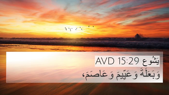 يَشُوع 15:29 AVD 4K Wallpaper - وَبَعَلَةَ وَعَيِّيمَ - 4K Wallpaper Bible Verse