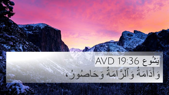 يَشُوع 19:36 AVD 4K Wallpaper - وَأَدَامَةُ وَٱلرَّامَةُ - 4K Wallpaper Bible Verse