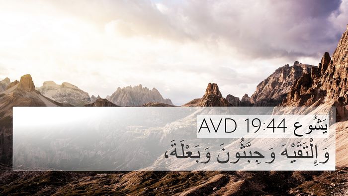 يَشُوع 19:44 AVD Bible Verse Image