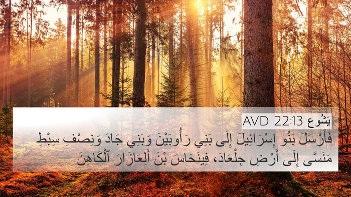 يَشُوع 22:13 AVD Bible Verse Image
