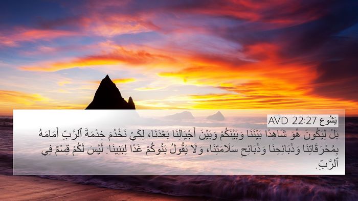 يَشُوع 22:27 AVD Bible Verse Image
