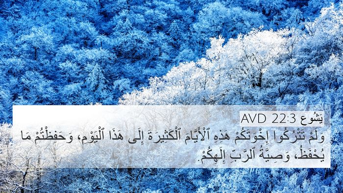 يَشُوع 22:3 AVD 4K Wallpaper - وَلَمْ تَتْرُكُوا - 4K Wallpaper Bible Verse