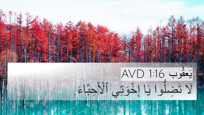 يَعقُوب 1:16 AVD Bible Verse Image
