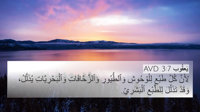 يَعقُوب 3:7 AVD Bible Verse Image