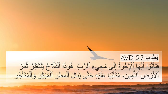 يَعقُوب 5:7 AVD Bible Verse Image