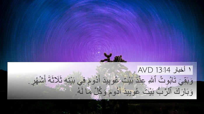١ أخبار 13:14 AVD Bible Verse Image