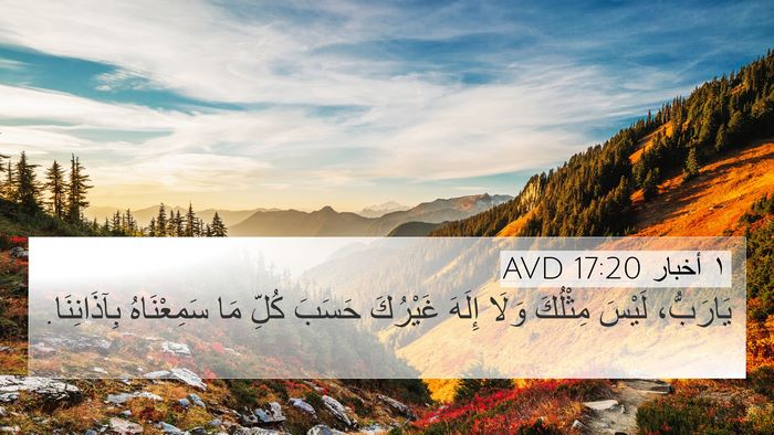١ أخبار 17:20 AVD Bible Verse Image