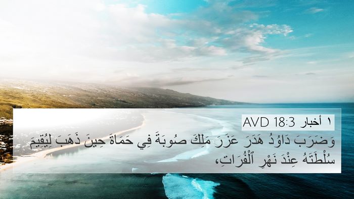 ١ أخبار 18:3 AVD Bible Verse Image