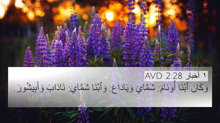 ١ أخبار 2:28 AVD 4K Wallpaper - وَكَانَ ٱبْنَا أُونَامَ: - 4K Wallpaper Bible Verse