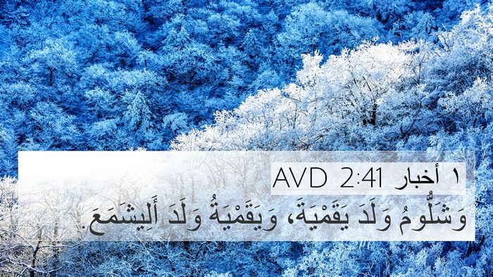 ١ أخبار 2:41 AVD 4K Wallpaper - وَشَلُّومُ وَلَدَ - 4K Wallpaper Bible Verse