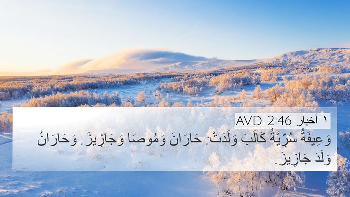 ١ أخبار 2:46 AVD Bible Verse Image