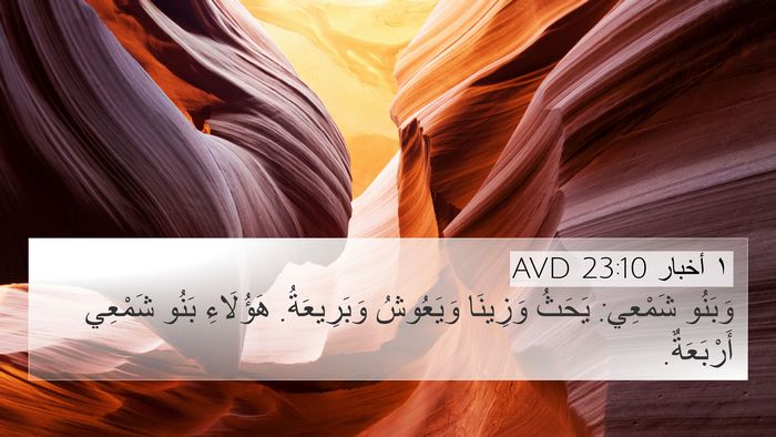 ١ أخبار 23:10 AVD Bible Verse Image