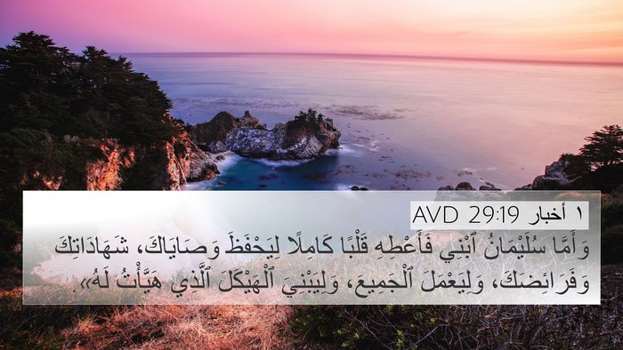 ١ أخبار 29:19 AVD Bible Verse Image
