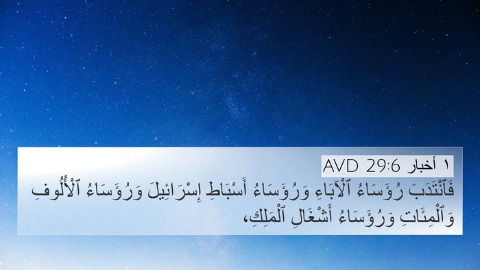 ١ أخبار 29:6 AVD Bible Verse Image