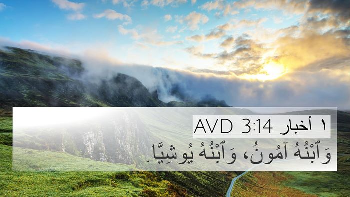 ١ أخبار 3:14 AVD 4K Wallpaper - وَٱبْنُهُ آمُونُ، - 4K Wallpaper Bible Verse