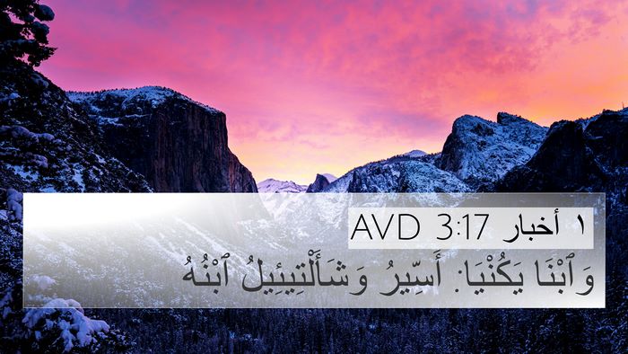 ١ أخبار 3:17 AVD Bible Verse Image