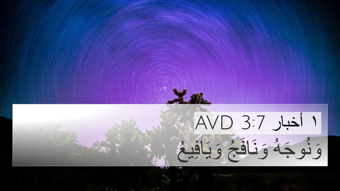 ١ أخبار 3:7 AVD 4K Wallpaper - وَنُوجَهُ وَنَافَجُ - 4K Wallpaper Bible Verse