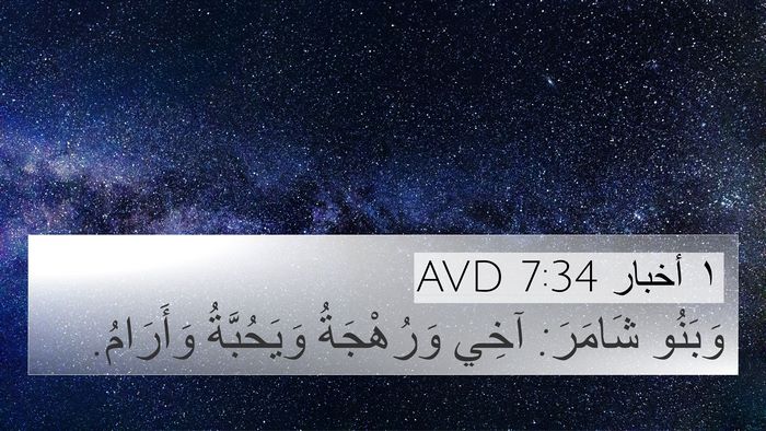 ١ أخبار 7:34 AVD 4K Wallpaper - وَبَنُو شَامَرَ: آخِي - 4K Wallpaper Bible Verse